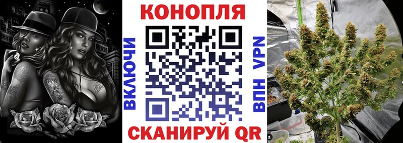 Конопля OG Kush Камбарка